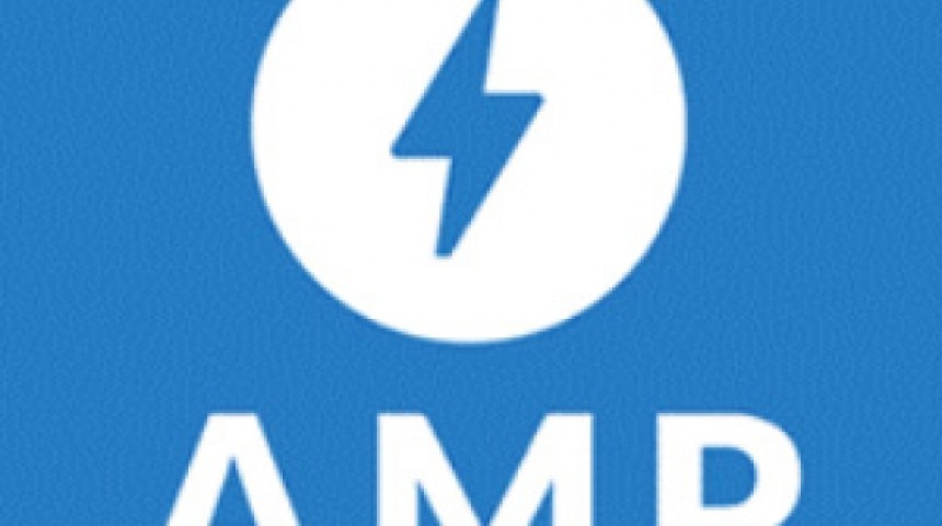 AMP project one year on